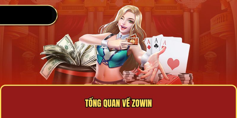 Tổng quan về Zowin