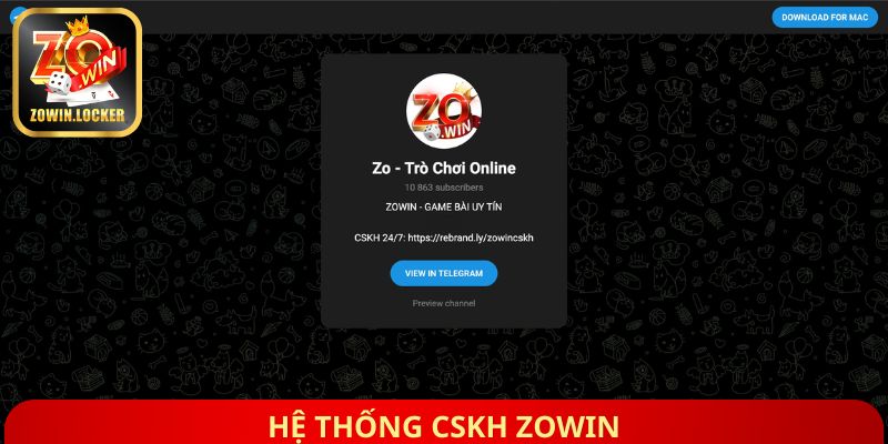 Hệ thống CSKH Zowin