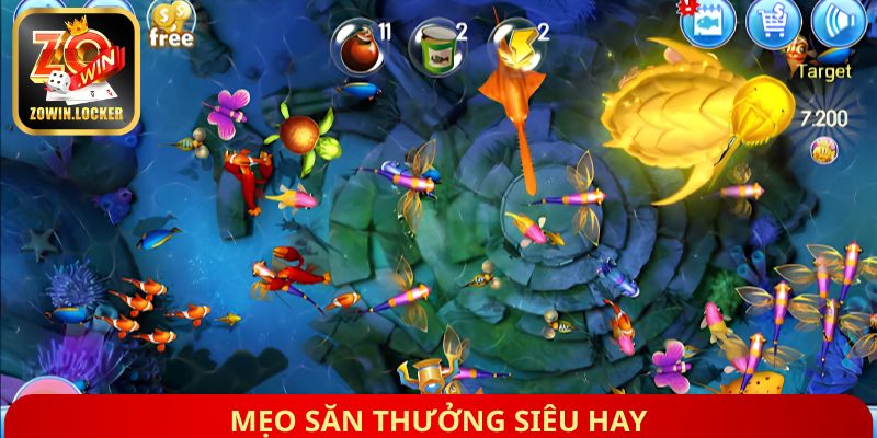 Mẹo săn thưởng siêu hay